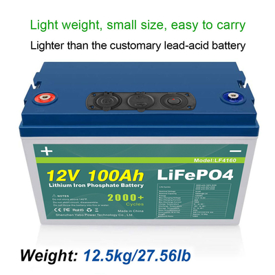 24V 36V 48V 72V 12v 100ah Lifepo4 ব্যাটারি প্যাক বিল্ট-ইন BMS লিড অ্যাসিড লিথিয়াম আয়রন